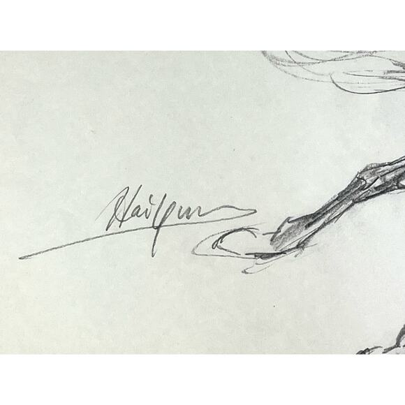 Hai Yun Signed ART HORSE SKETCH Original Frolicking Foal Colt Philly 12x18 Asian - Picture 3 of 4